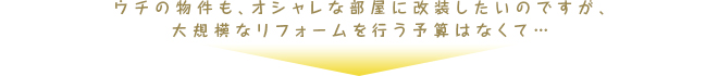 大規模なリフォームを行う予算はなくて…