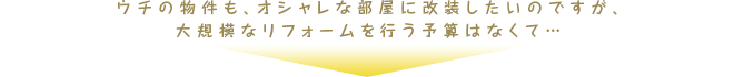 大規模なリフォームを行う予算はなくて…