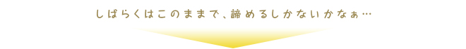 しばらくは諦めるしかないかなぁ…