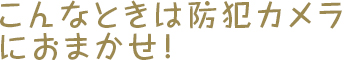 こんなときは防犯カメラにおまかせ！