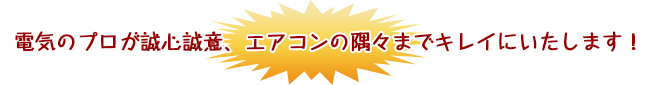 電気のプロが隅々までキレイに！